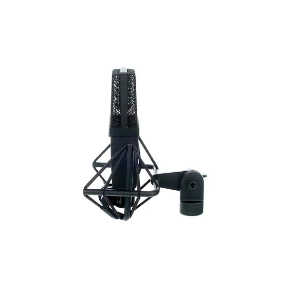 SE Electronics SE4400AST-2