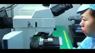 Micro Vibration Motor Manufacturer in China - Leader Micro Electronics