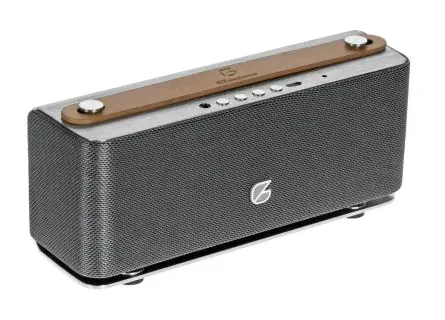 Портативная колонка GZ electronics LoftSound-44 Серебристый-0