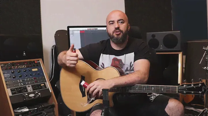 sE Electronics DM1 Dynamite - Alin Ilies